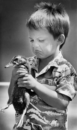 Boy with Duck, editorial photography